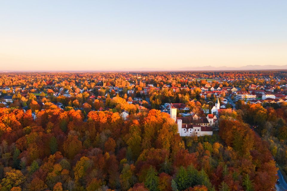 Grünwald südlich von München gehört zu den reichsten Gemeinden Deutschlands. Dort wurde 2023 die viertteuerste Immobilie auf Immowelt.de eingestellt. Die 2019 errichtete Designvilla (516 Quadratmeter Wohnfläche, 1455 Quadratmeter Grundstück) sollte 15,0 Mio Euro kosten – und wurde doch von einem Loft in Berlin ausgestochen. 