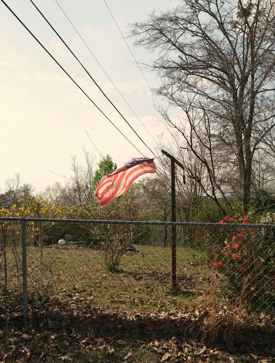 VW und Mercedes: US-Gewerkschaften erobern deutsche Autobauer - Capital.de