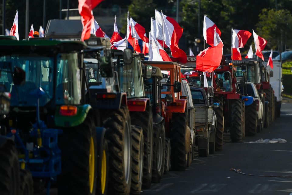 Auch die maltesische Bauernschaft hat sich im Frühjahr an Protesten gegen die europäische Agrarpolitik beteiligt. Unter dem Strich hat Malta als EU-Mitglied aber an Bedeutung als kleiner Inselstaat im Mittelmeer gewonnen. Die Wirtschaftsleistung hat sich verdoppelt. Die Vernetzung hat zu einer stärkeren internationalen Beteiligung geführt, die Wirtschaft wandelte sich zunehmend in Richtung Dienstleistungen, während sich das verarbeitende Gewerbe auf höherwertige Tech-Produkte verlagert. Seit der Einführung des Euro hat Malta weniger mit den Risiken einer kleinen Währung zu kämpfen, das Defizit sank auf ein tragfähiges Niveau. Das BIP pro Kopf hat sich seit 2004 von 14.120 auf 25.160 Euro verbessert. Die Arbeitslosigkeit halbierte sich seit 2012 auf 3,1 Prozent. 