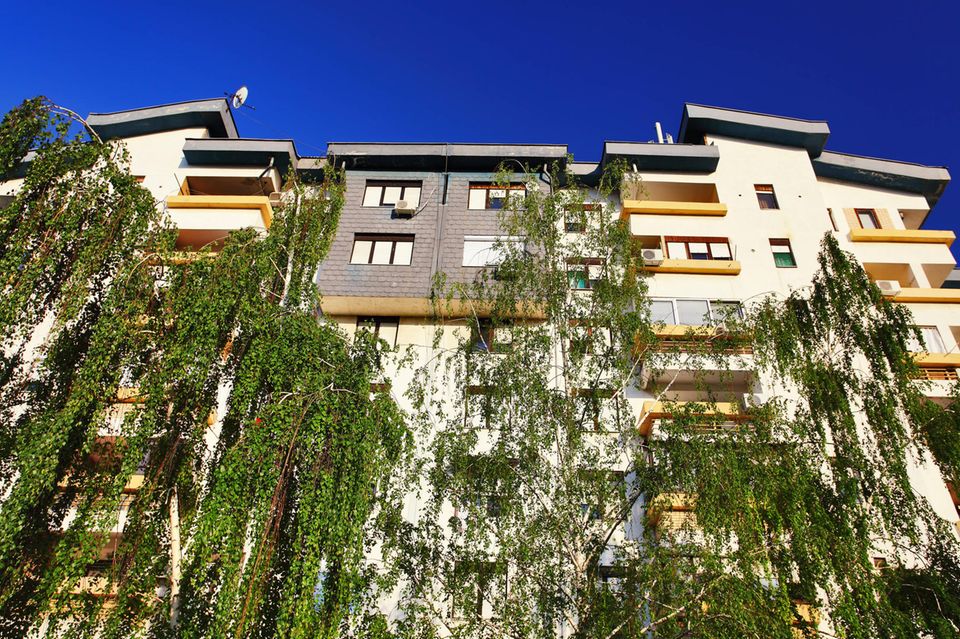 Eine Hauptstadt mit entspanntem Wohnungsmarkt? Was in Berlin, Paris oder London undenkbar ist, scheint in Skopje (Foto) Realität. 65 Prozent der im Auftrag der Europäischen Kommission befragten Einwohner lobten den lokalen Wohnungsmarkt. Skopje teilte sich den dritten Platz mit Tyneside. Diese Region liegt am Ufer des Flusses Tyne im Norden Englands und umfasst auch die Stadt Newcastle (upon Tyne).