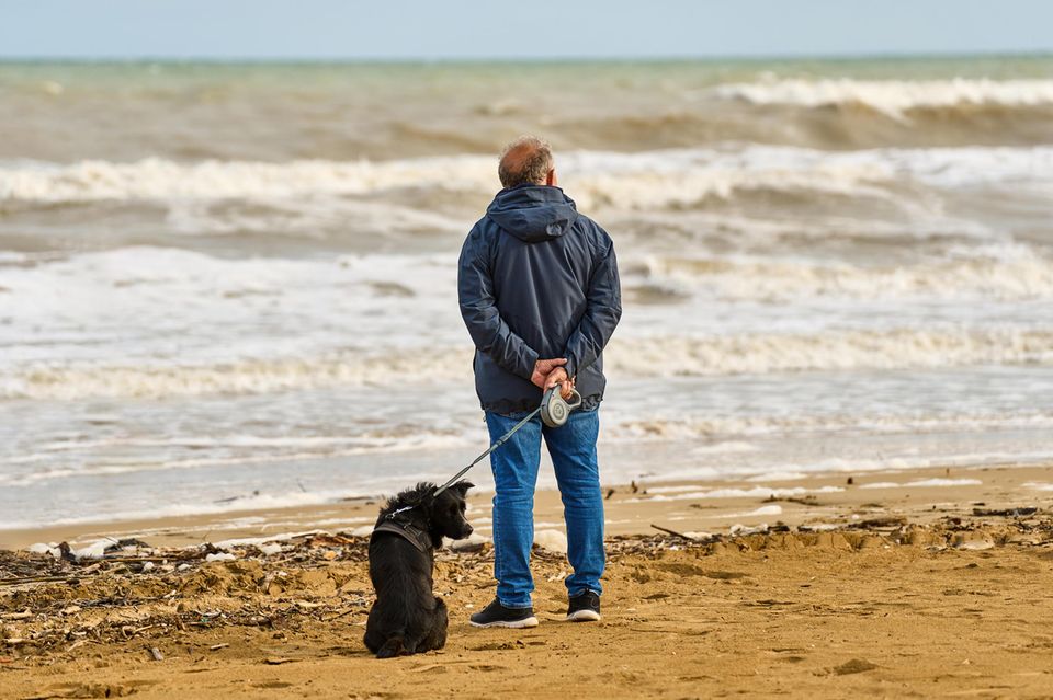 Mann schaut auf das Meer hinaus, während er mit seinem Hund an der Leine durch den Sandstrand spazieren geht