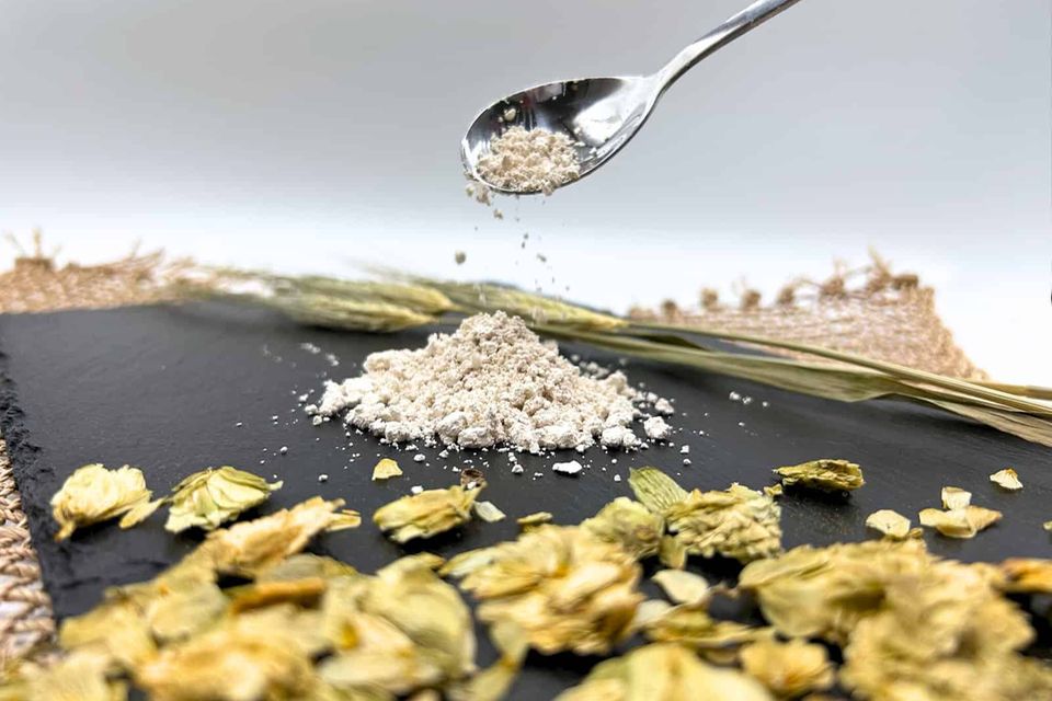 Proteinpulver aus Bierhefe