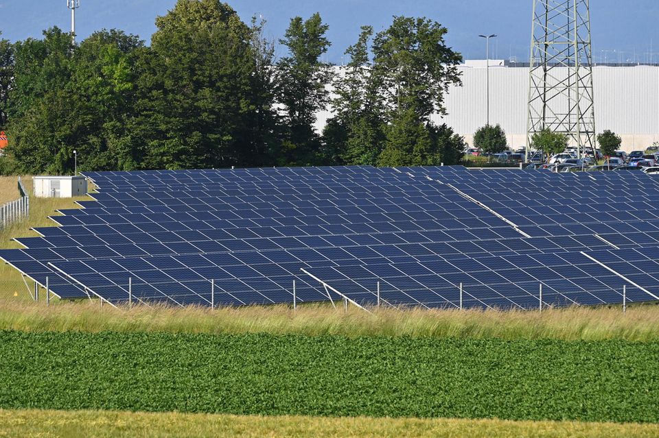 Solarpaneelen auf einem Feld