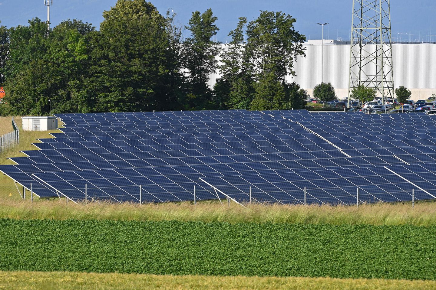 Solarpaneelen auf einem Feld