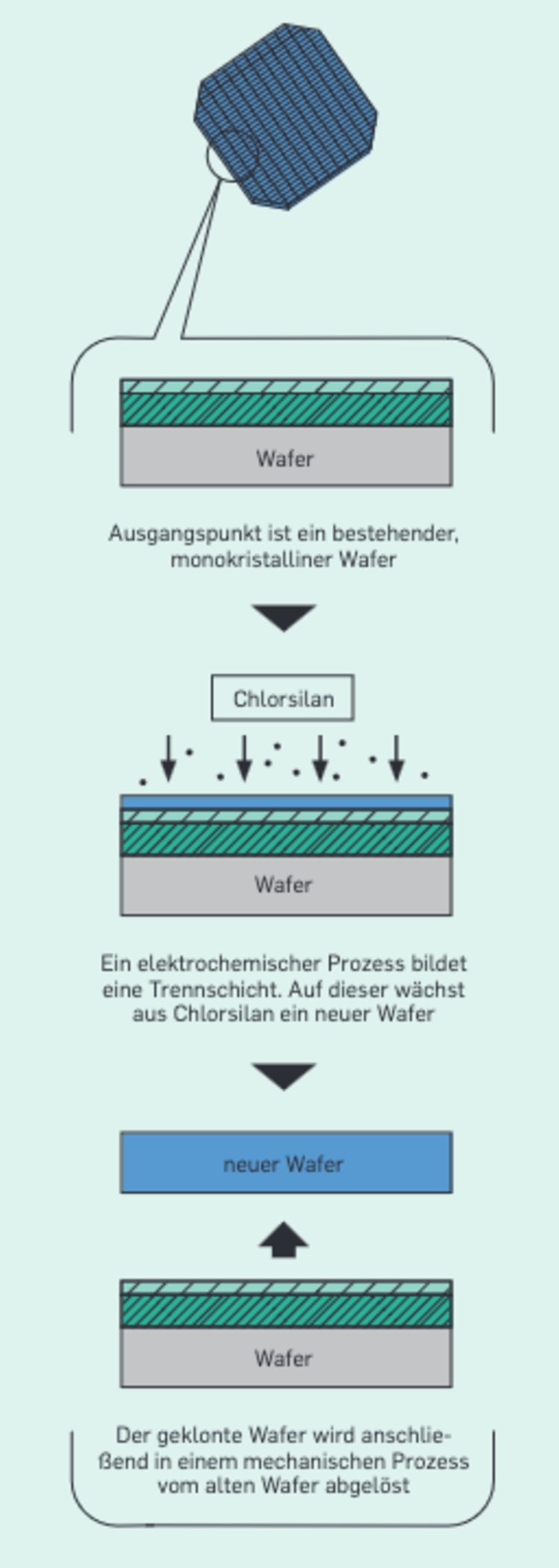 Grüne Revolution: Europas Solarproduktion liegt am Boden – können geklonte Wafer helfen?
