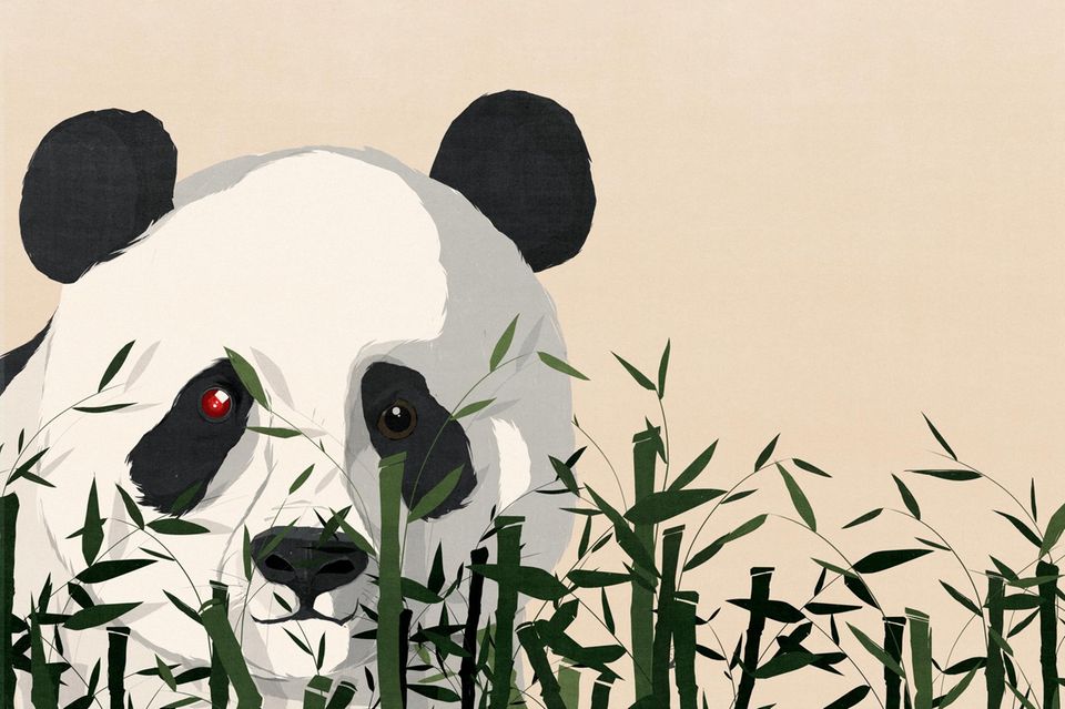 Sieht niedlich aus, aber schon die Panda-Diplomatie war für China ein Vehikel, um andere Ziele zu erreichen 