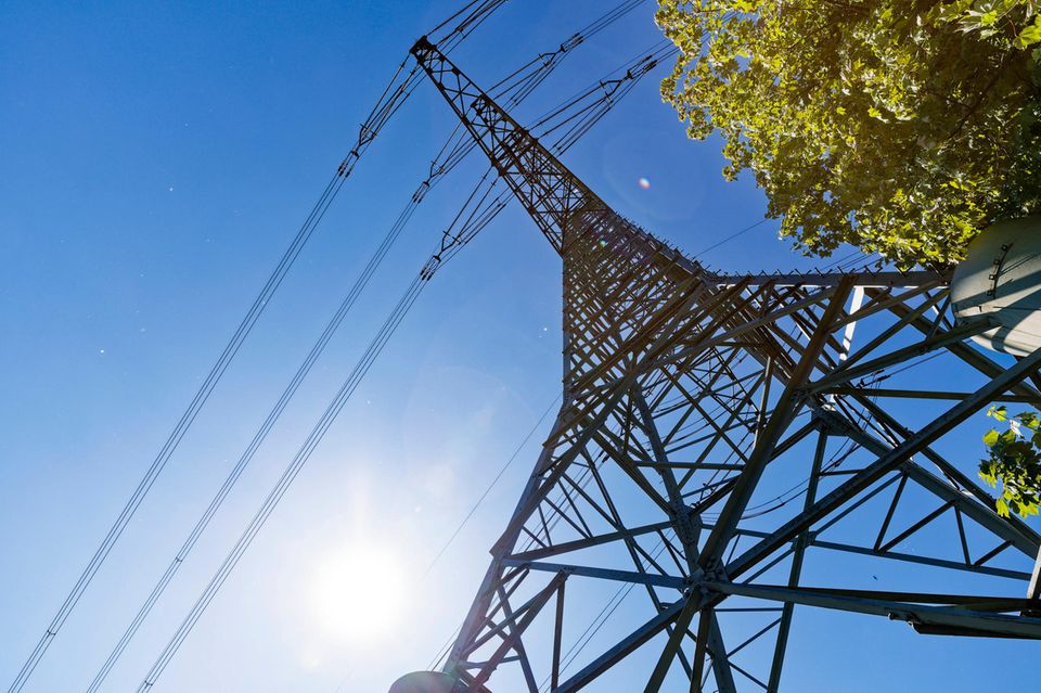 Der Ausbau der Leitungen wird laut Gesetzentwurf rund 47 Milliarden Euro kosten.