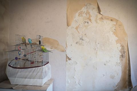 Mietschäden kann der Vermieter mit der Kaution verrechnen – bislang aber nur innerhalb eines Zeitraums von sechs Monaten