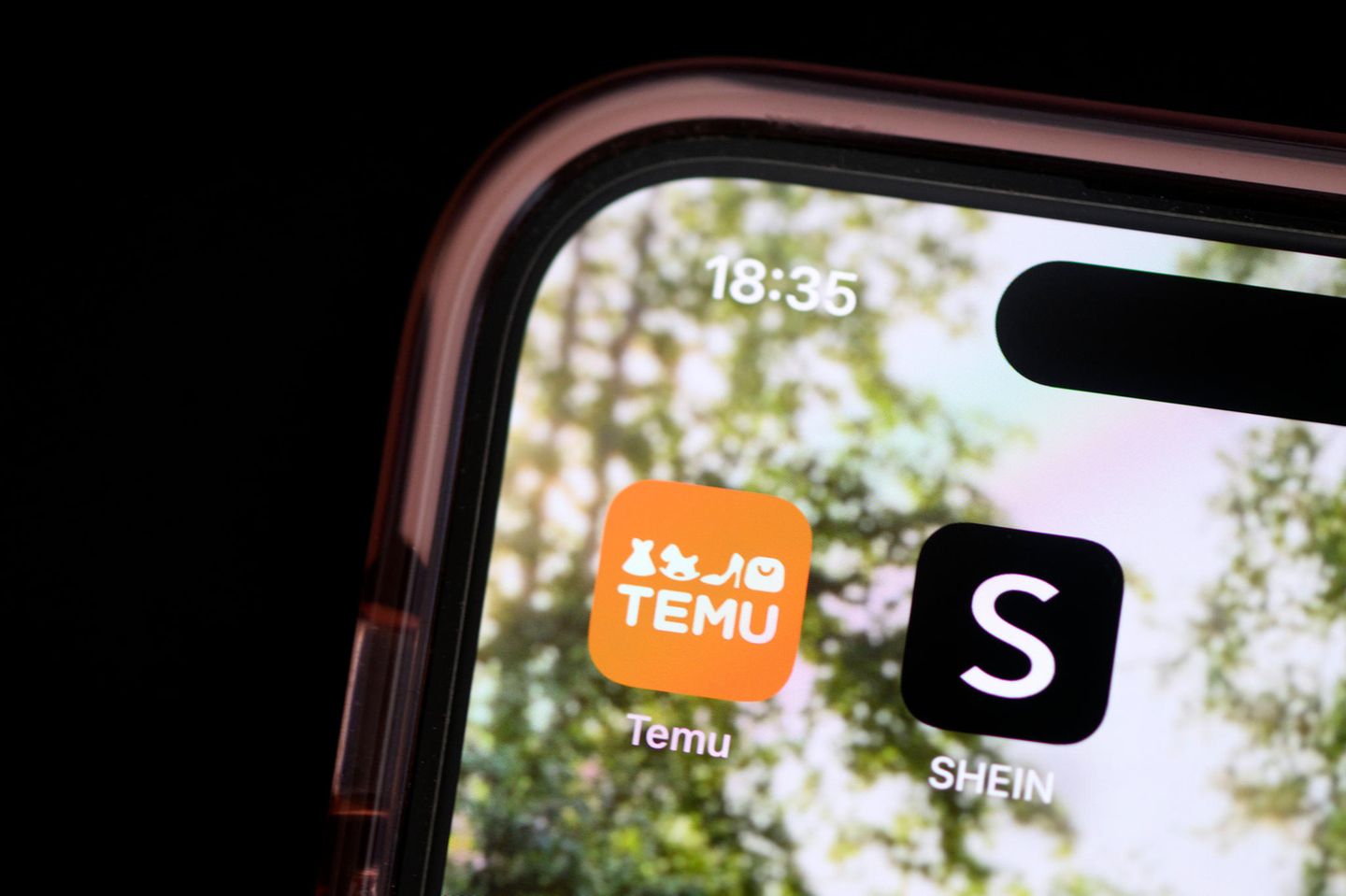 Handybildschirm mit den Apps von Temu und Shein