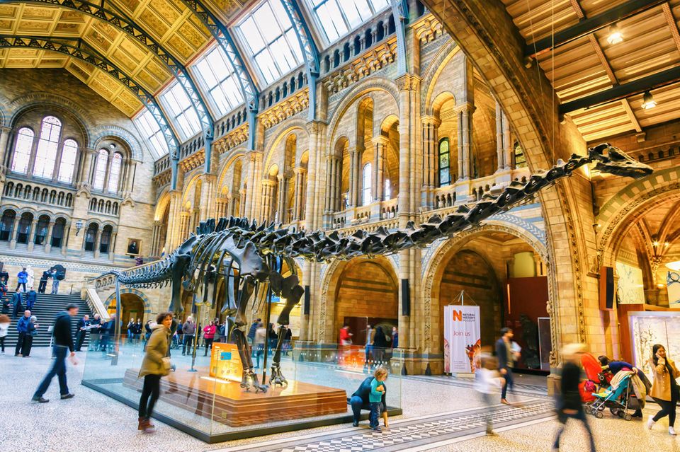 Das Natural History Museum hat auch bei Generationen deutscher Schüler auf Klassenfahrt Eindruck hinterlassen. Das Naturkundemuseum konnte 2022 an dem British Museum vorbeiziehen und war laut dem Bericht weltweit die Nummer drei. Die Besucherzahlen gingen nämlich deutlich weniger stark zurück als bei der Londoner Konkurrenz: um 14,0 Prozent auf 4,7 Millionen. 