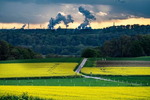 Blick über Mülheim an der Ruhr mit Rapsfeldern im Vordergrund auf Stahlwerke in Duisburg