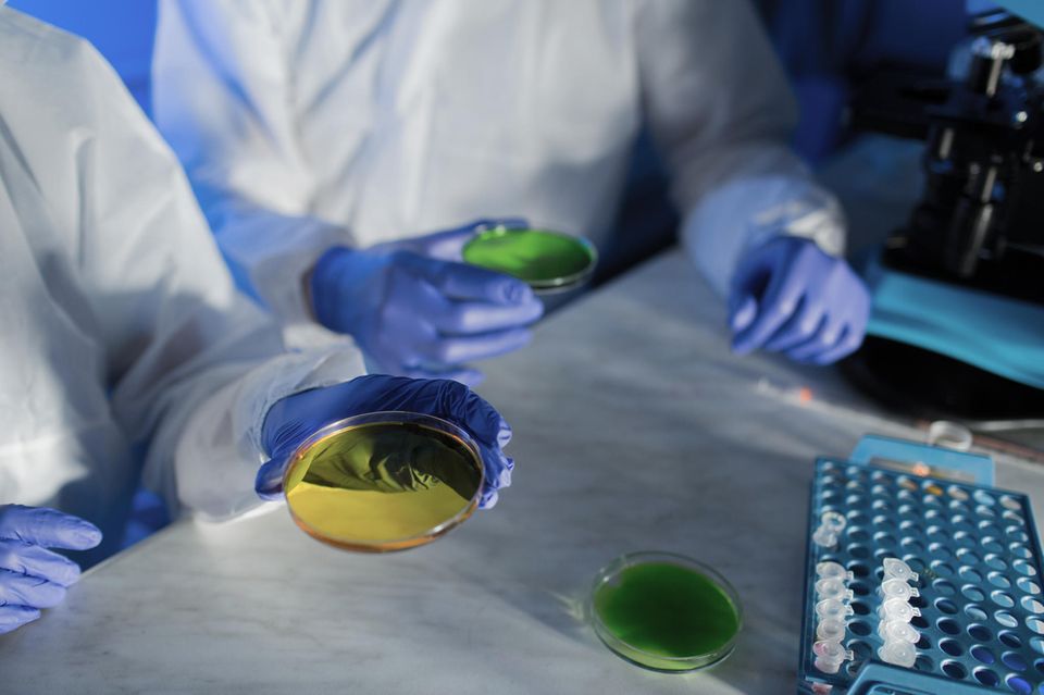 Bei der Forschung und Entwicklung sind flexible Arbeitszeitmodelle laut Destatis eher die Regel als die Ausnahme. 54 Prozent der dort abhängig Beschäftigten konnten demnach 2023 von zu Hause aus arbeiten. Die Statistik basiert auf ersten Ergebnissen des Mikrozensus. Befragte gaben dabei an, ob sie in den vergangenen vier Wochen mindestens einmal von zu Hause aus gearbeitet haben. 