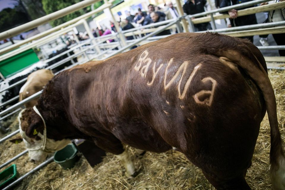 Größter deutscher Agrarhändler: Auch so präsentierte Baywa sich auf der Internationalen Grünen Woche in Berlin.