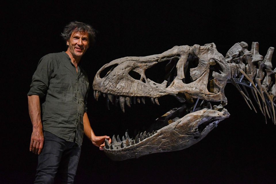 Dinosaur Raimund Albersdörfer