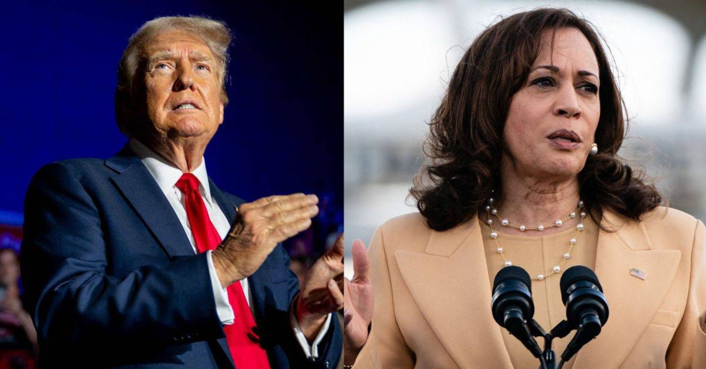 Donald Trump und Kamala Harris kämpfen im November um die US-Präsidentschaft