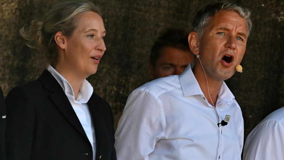 Alice Weidel, AfD-Bundessprecherin, und Björn Höcke, AfD-Spitzenkandidat in Thüringen Alice Weidel, AfD-Bundessprecherin, und Björn Höcke, AfD-Spitzenkandidat in Thüringen
