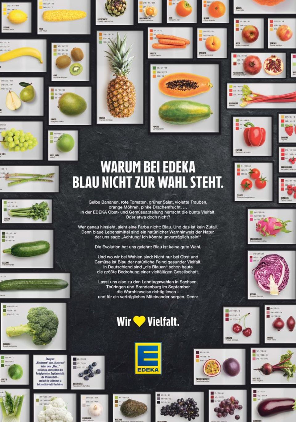 AfD-Printanzeige von Edeka