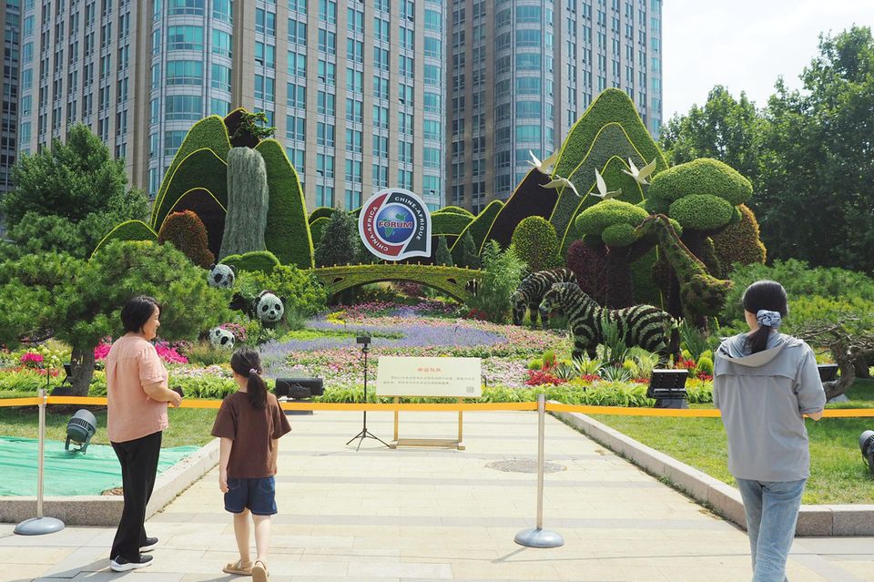 Passantinnen fotografieren ein opulentes Blumenbeet in Peking