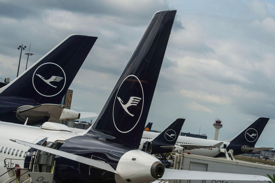 Lufthansa-Maschinen stehen auf dem Vorfeld des Flughafen Rhein-Main