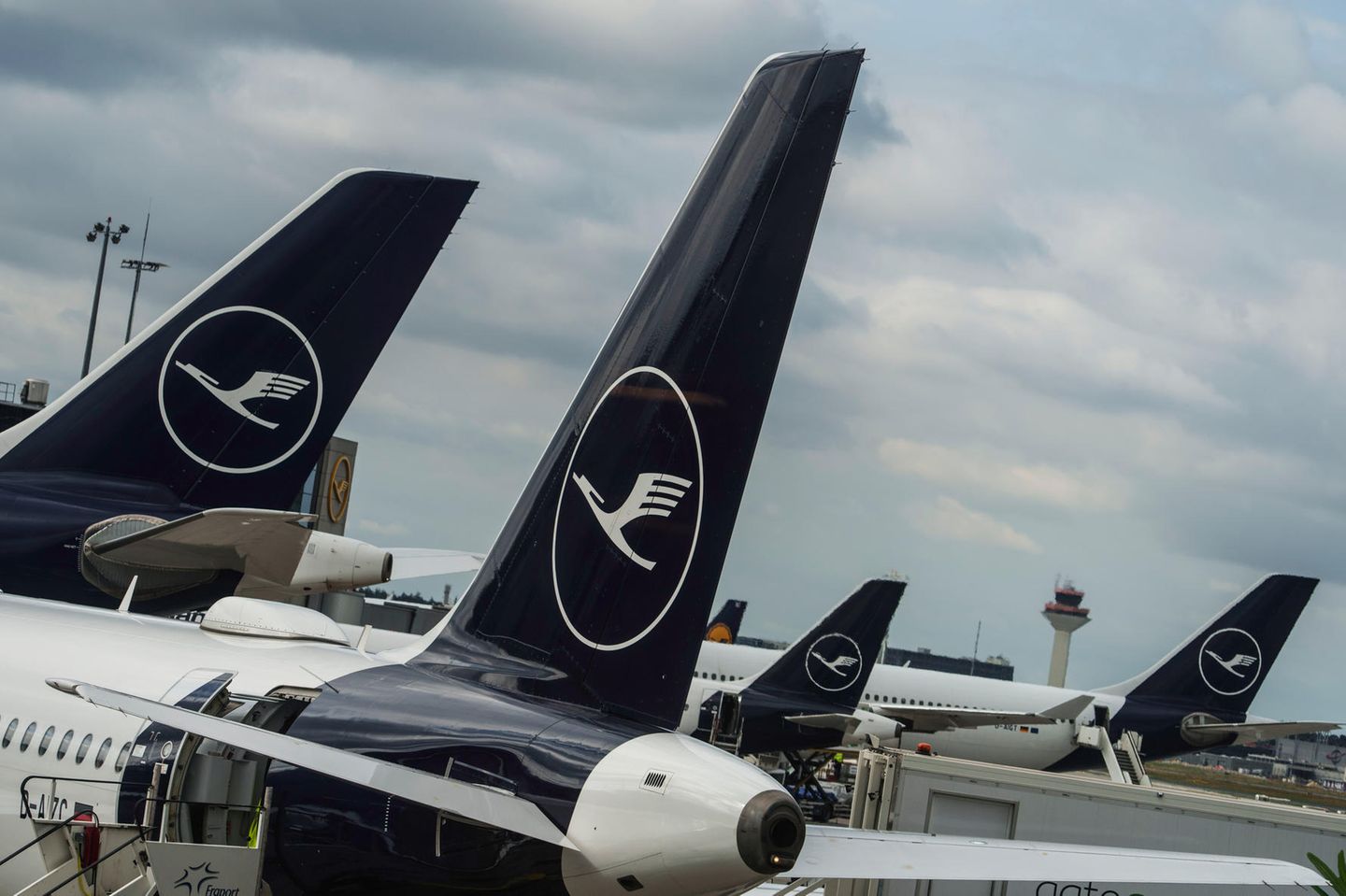 Lufthansa-Maschinen stehen auf dem Vorfeld des Flughafen Rhein-Main