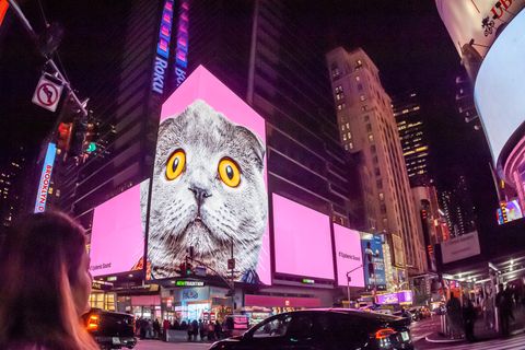 Times Square in New York – hier läuft die US-Wirtschaft. Doch anderswo im Land fühlen sich viele Amerikaner abgehängt.