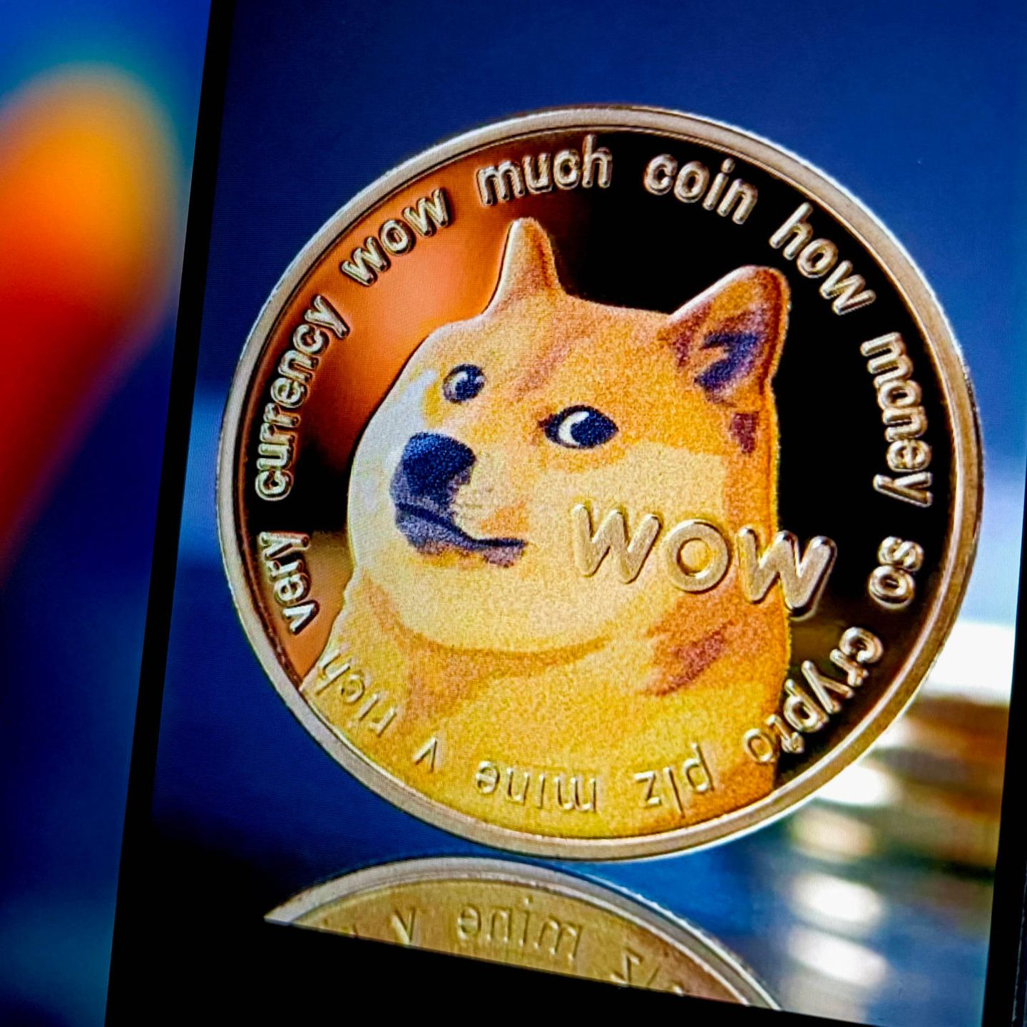 Musk lässt Dogecoin Kurs explodieren: Hat das Krypto-Asset Zukunft? -  Capital.de