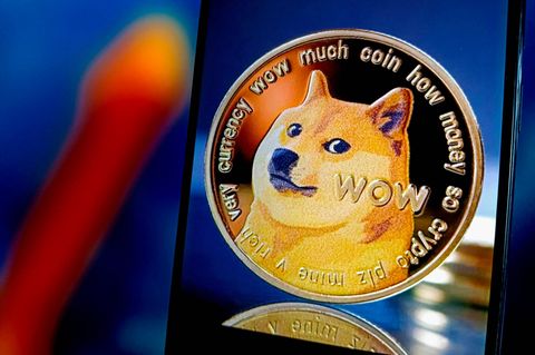 Das Logo von Dogecoin mit einer Shiba Hündin
