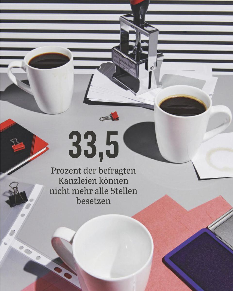 Quelle: Statista/Umfrage unter ca. 2700 Wirtschaftsprüfern und Steuerberatern vom 22. Mai bis 2. August 2024