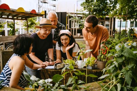 Rentner zusammen im jungen Menschen im Garten
