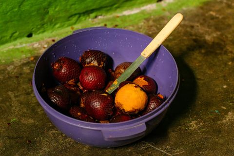 Das Öl der Buritifrucht wird etwa in Cremes verarbeitet