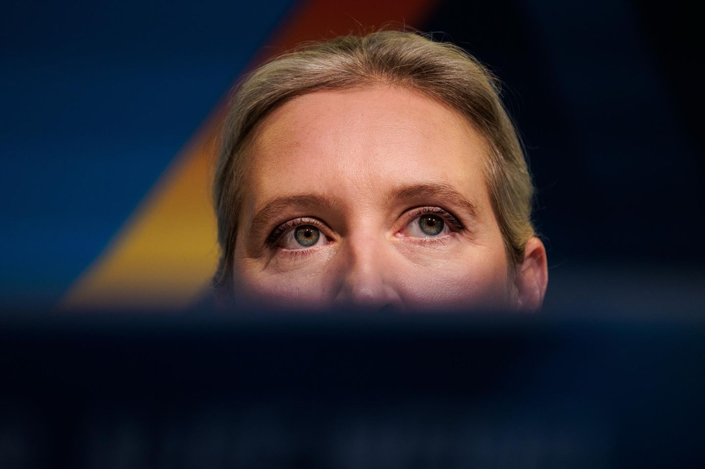 Alice Weidel