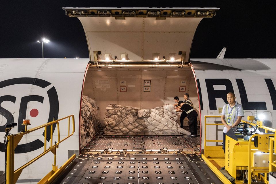 Transport von Frachtgut wird in ein Flugzeug gebracht