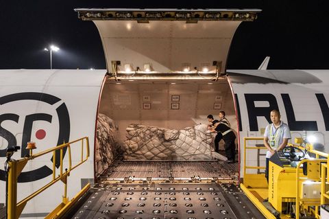 Transport von Frachtgut wird in ein Flugzeug gebracht