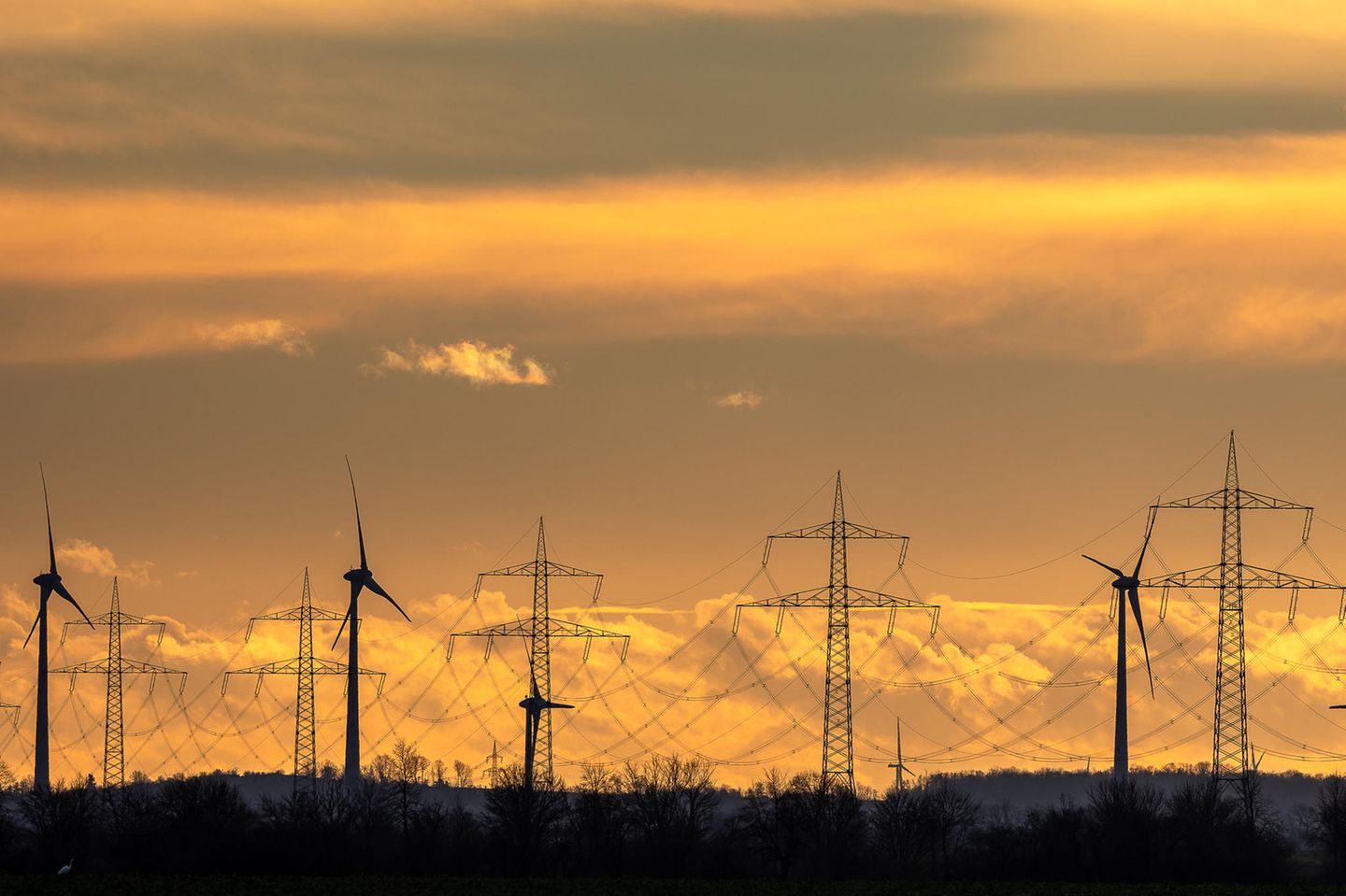 Windräder und Stromleitungen stehen im Sonnenuntergang