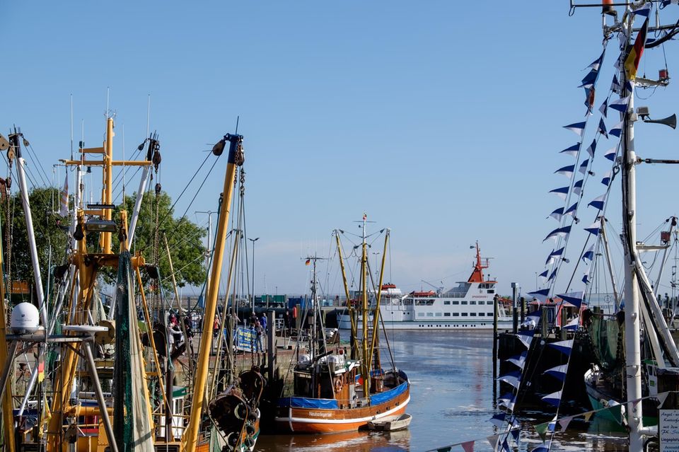 Fischerboote im Hafen von Spiekeroog