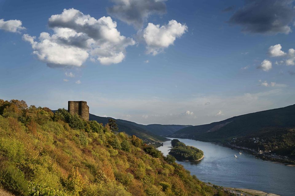 Zu den Highlights im Portfolio von Eva Fricke gehören Rieslinge aus Lagen rund um die Stadt Lorch am Rhein