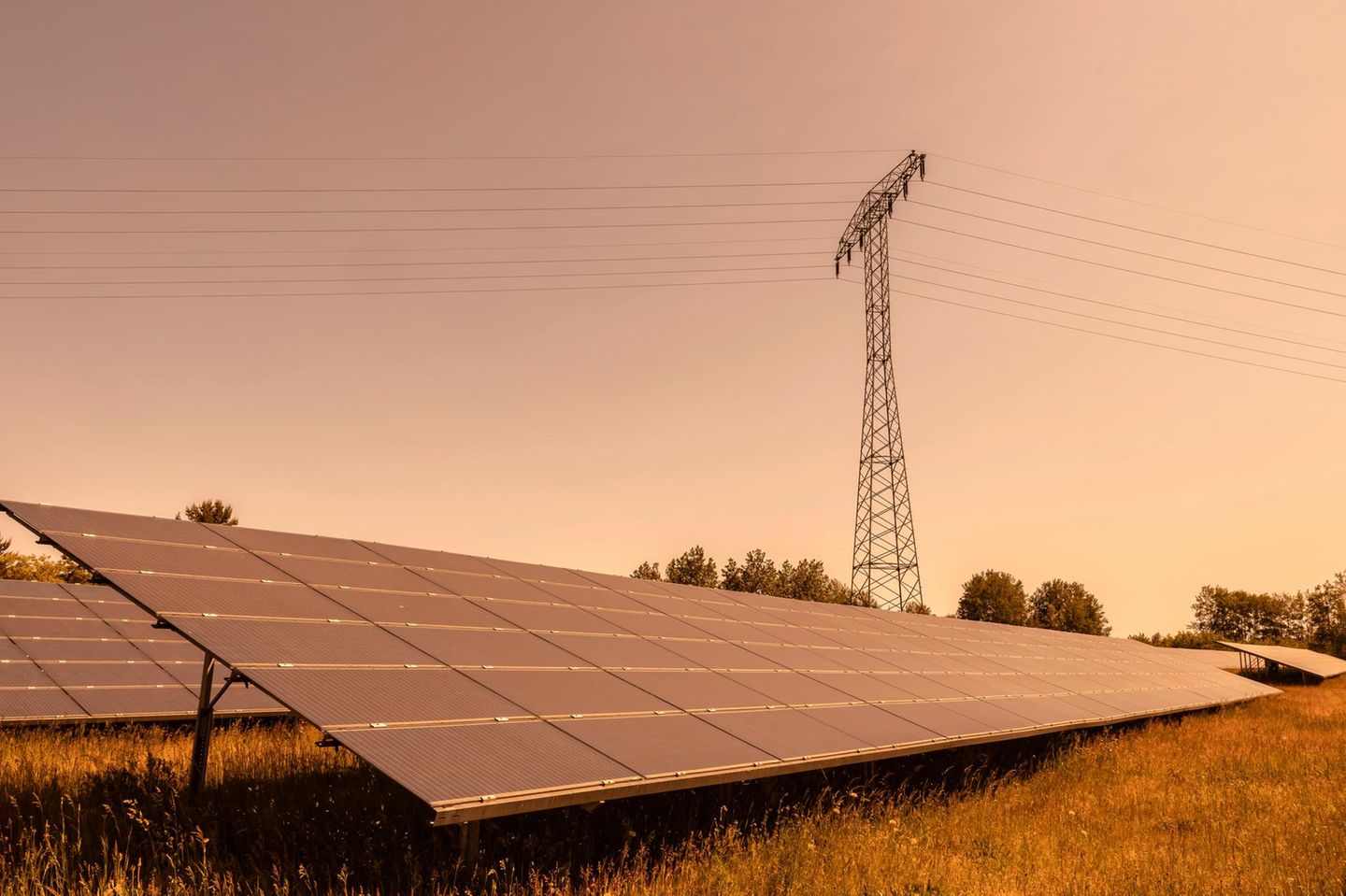 Solaranlage in Brandenburg