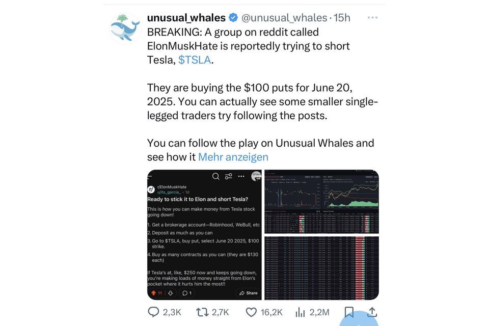 Elon Musk: Kleinanleger starten Short-Attacken gegen Tesla