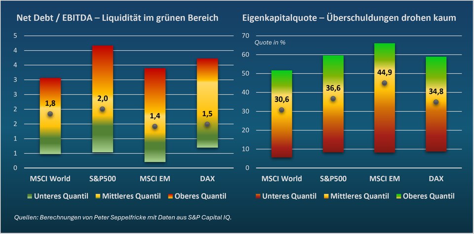 Peter Seppelfricke: Finanzlage der Dax-Konzerne: Wie haben sie sich 2024 geschlagen?