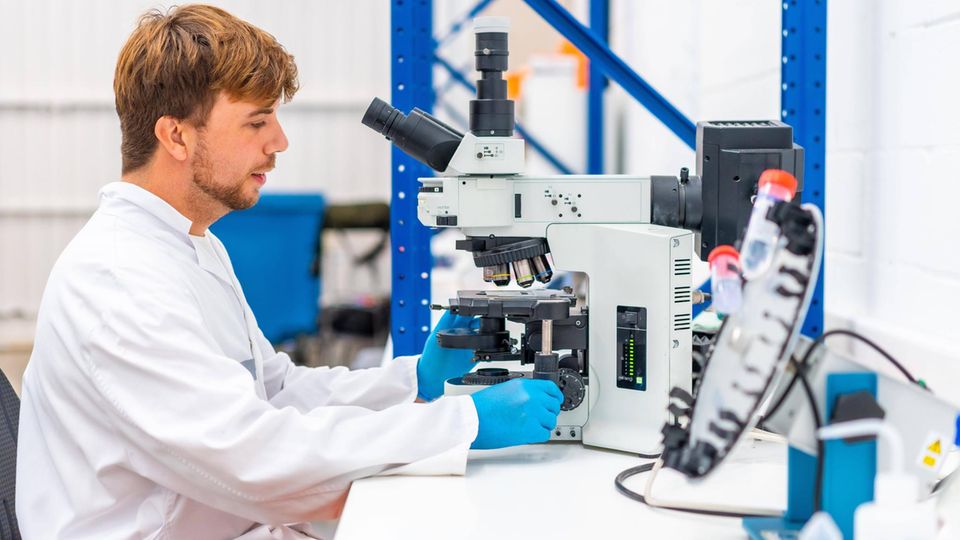 Wissenschaftler, der in einem Krebsforschungslabor Proben unter dem Mikroskop analysiert
