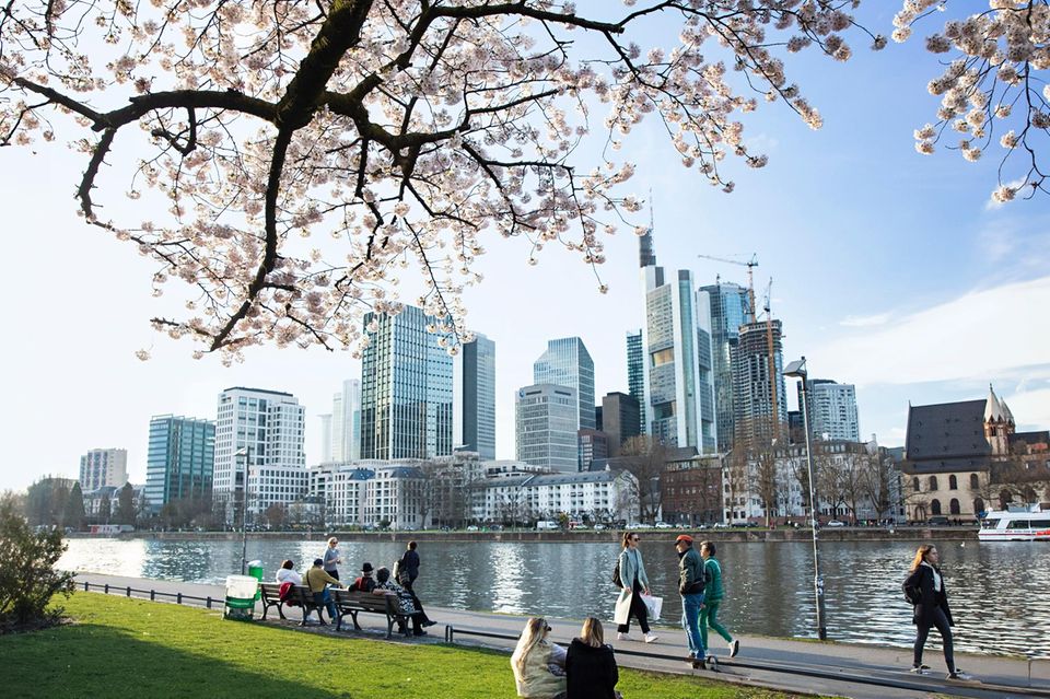 Das Museumsufer mit Blick auf die Skyline liegt in Frankfurt-Sachsenhausen. Hier war die Nachfrage am Immobilienmarkt zuletzt besonders hoch, denn der Fluglärm drückte die Preise
