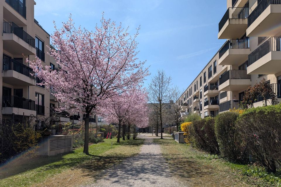 Münchner Wohnungen