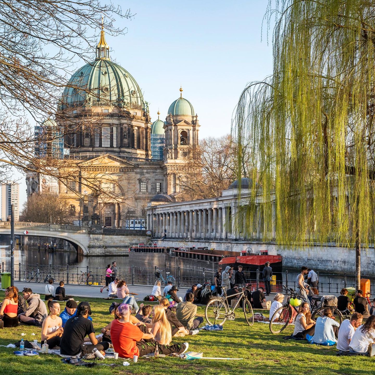 Menschen entspannen sich auf einer Wiese mit Blick auf Museumsinsel und Berliner Dom