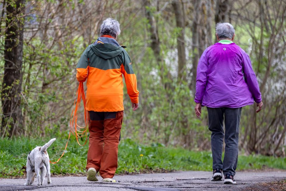 Los 1,2 millones de afiliados al fondo de pensiones de las profesiones liberales reciben 2.200 € más en su pensión que los empleados que cotizan al sistema de seguro de pensiones obligatorio. Esto es posible gracias al mercado de capitales.