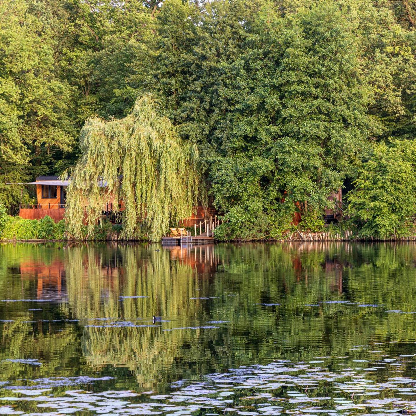Waldsee im Lehrter Ortsteil Hämelerwald