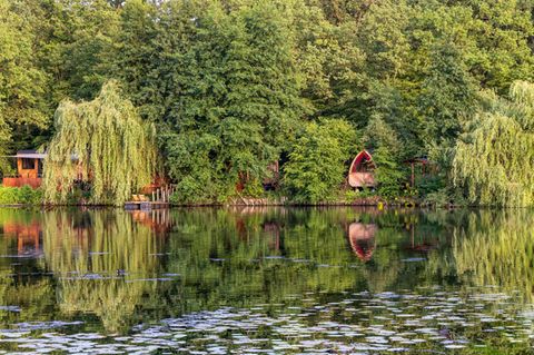 Waldsee im Lehrter Ortsteil Hämelerwald