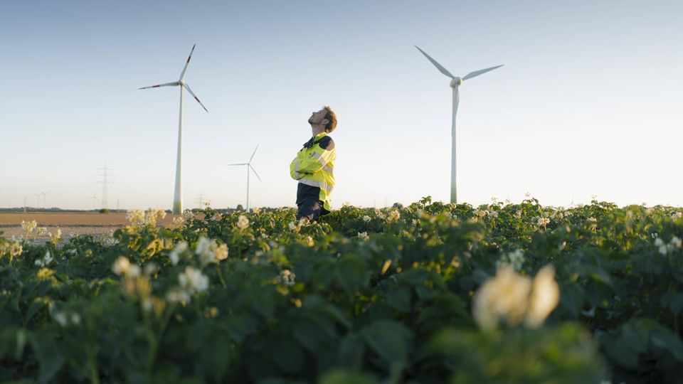 Ingenieur, der in einem Feld an einem Windparkmodell steht