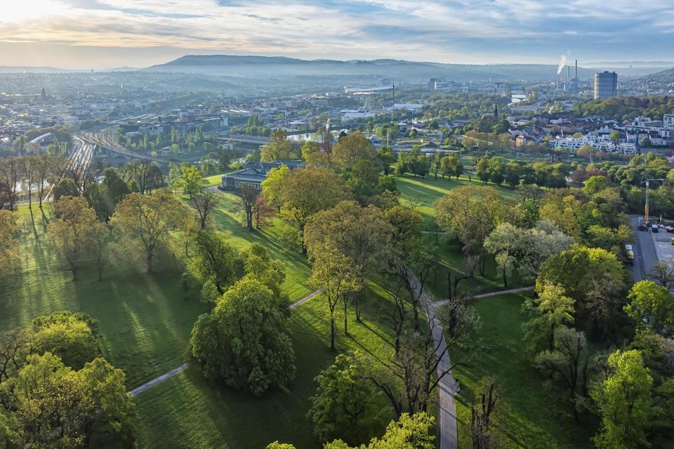 Ein Panoramabild des Stuttgarter Rosensteinparks am frühen Morgen
