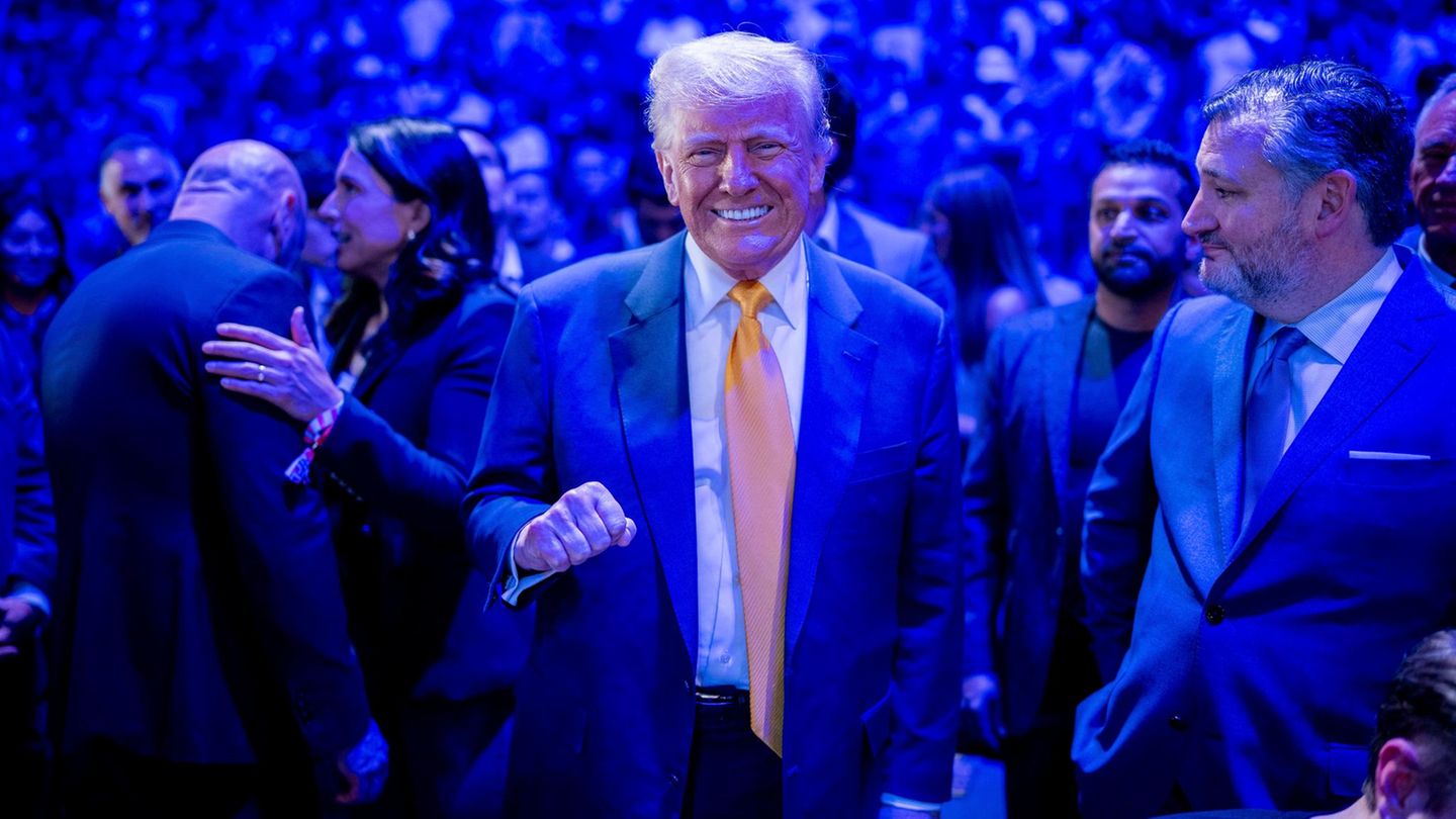 Kommentar-Die-zwei-Risiken-von-Trumps-Chaos-Politik