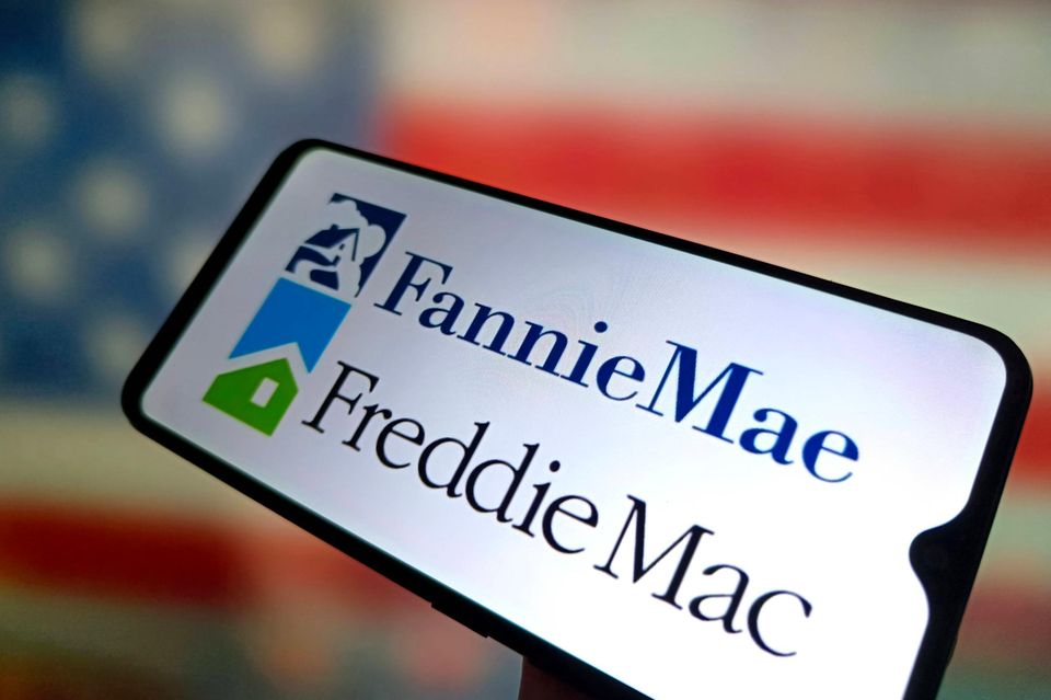 Fannie Mae and Freddie Mac
